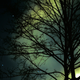 Illustration for article titled 106 Amazing Photos By You